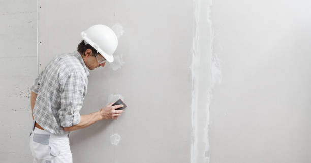 Best Drywall Sanding and Smoothing  in Minnetrista, MN